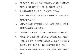 甘南为什么选择专业追讨公司来处理您的债务纠纷？